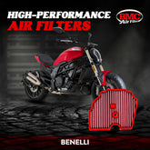BMC filters BENELLI FM01113