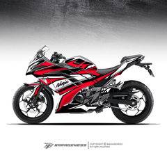 Kawazaki Ninja 300 Automotive Graphics - LRL Motors