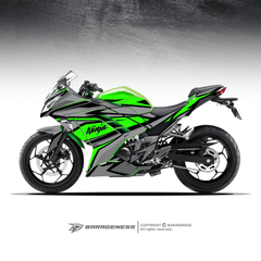 Kawazaki Ninja 300 Automotive Graphics - LRL Motors