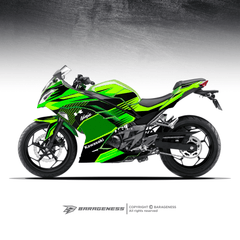 Kawazaki Ninja 300 Automotive Graphics - LRL Motors