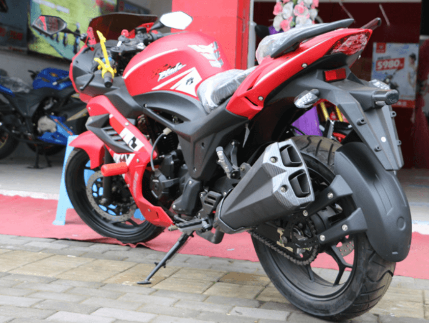 Motorcycle rear fender Back Shield - LRL Motors