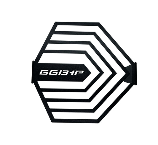 66BHP - Hero Xpulse Headlight grill - LRL Motors