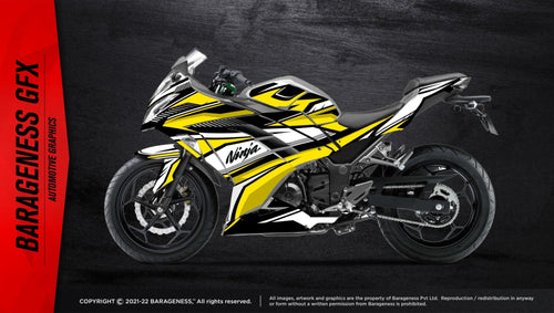 Kawazaki Ninja 300 Automotive Graphics - LRL Motors