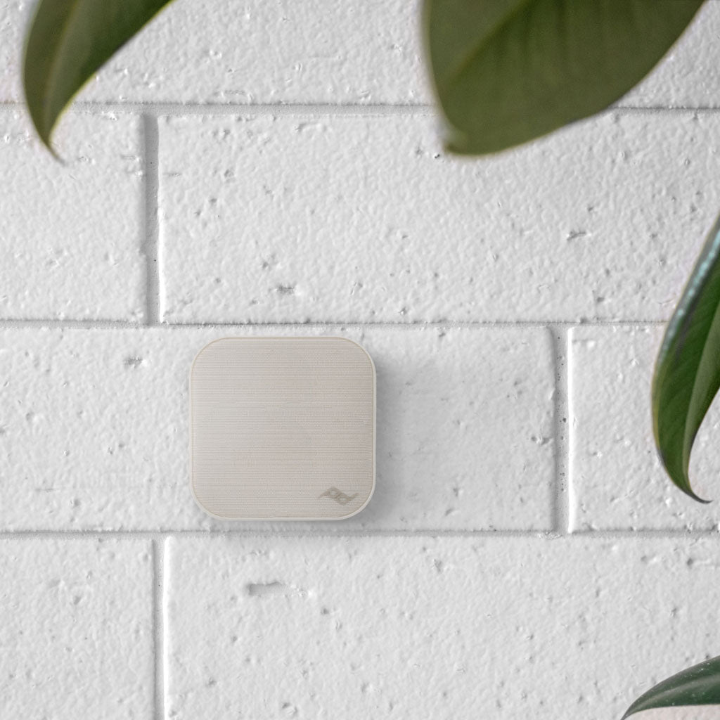 Mobile Wall Mount by Peak Design - LRL Motors