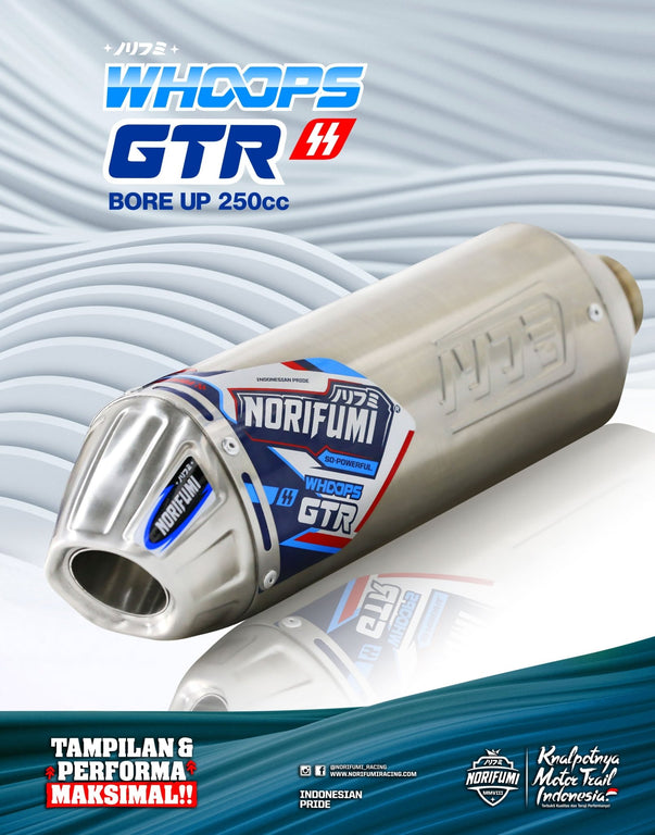 NORIFUMI Whoops GTR Original Bore Up SS Exhaust For Xpulse 200 4V β LRL ...